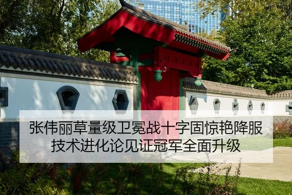 zhang-wei-li-cao-liang-ji-wei-mian-zhan-shi-zi-gu-jing-yan-xiang-fu-ji-shu-jin-hua-lun-jian-zheng-guan-jun-quan-mian-2-293.jpg