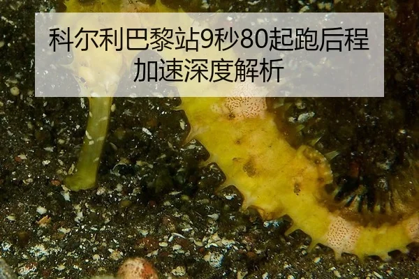 科尔利巴黎站9秒80起跑后程加速深度解析