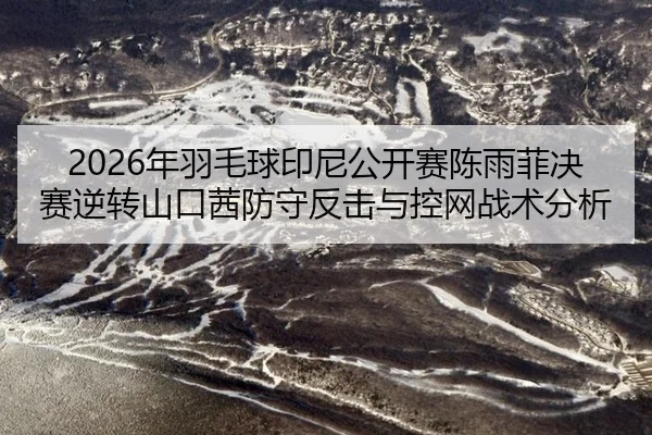 nian-yu-mao-qiu-yin-ni-gong-kai-sai-chen-yu-fei-jue-sai-ni-zhuan-shan-kou-qian-fang-shou-fan-ji-yu-kong-wang-zhan-shu-2-570.jpg