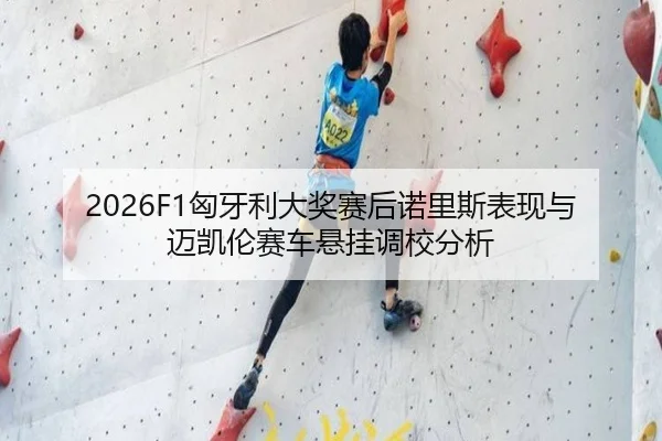xiong-ya-li-da-jiang-sai-hou-nuo-li-si-biao-xian-yu-mai-kai-lun-sai-che-xuan-gua-diao-xiao-fen-xi-3-936.jpg